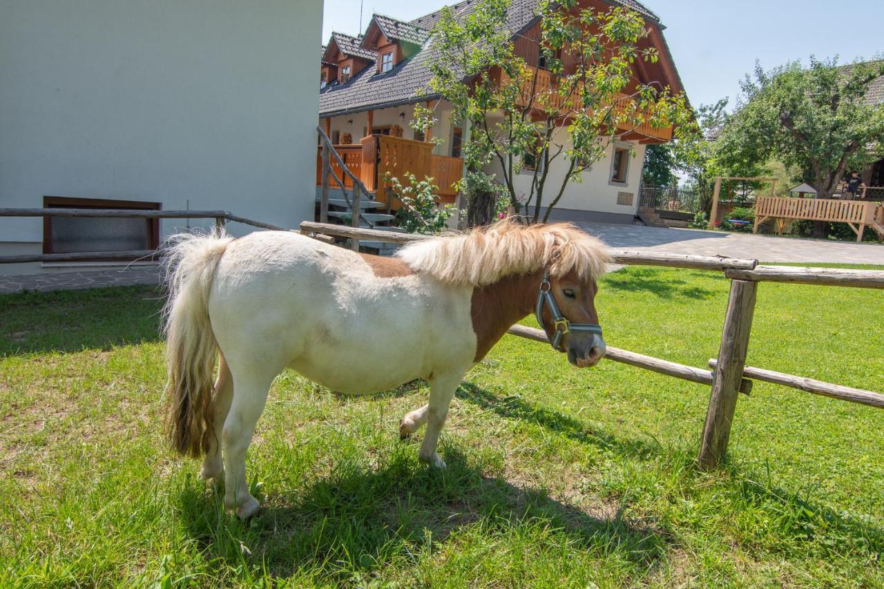 Villa Tourist Farm Pri Biscu Bled Exterior foto
